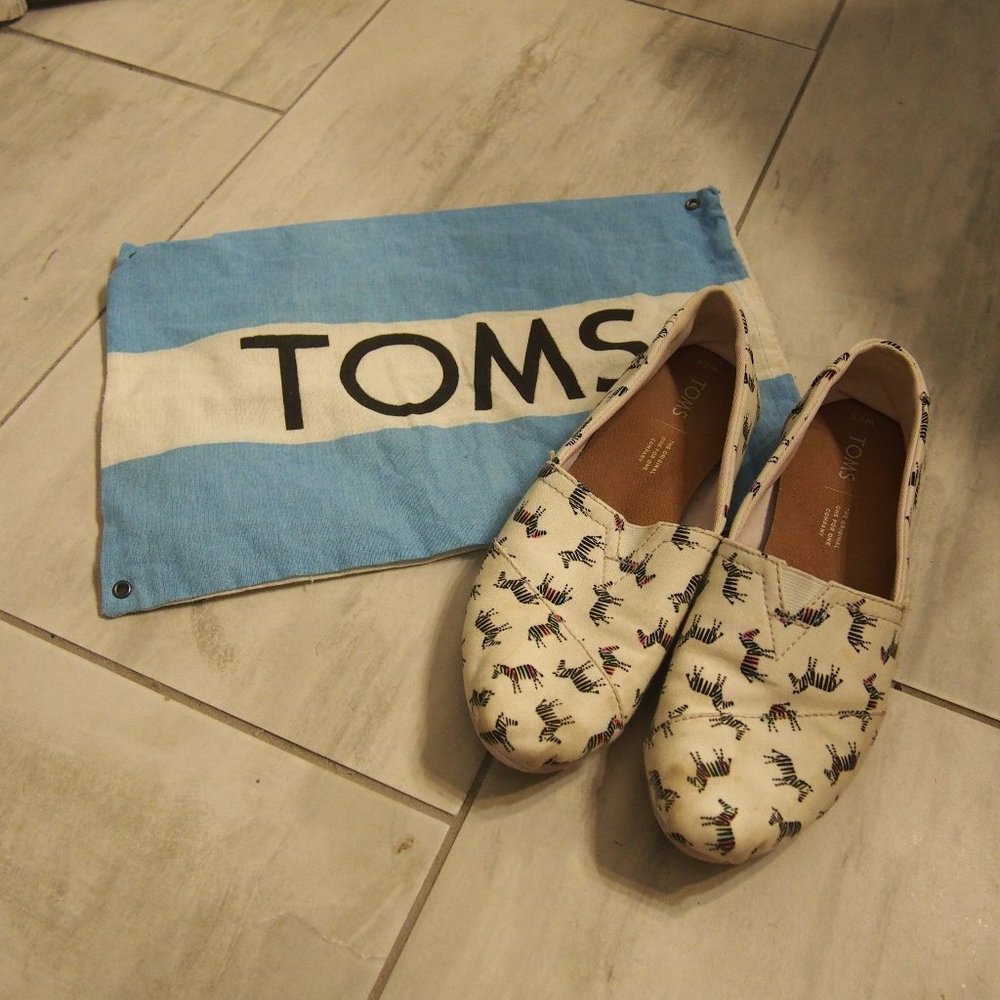 Classic Alpargata Rainbow Zebra Toms